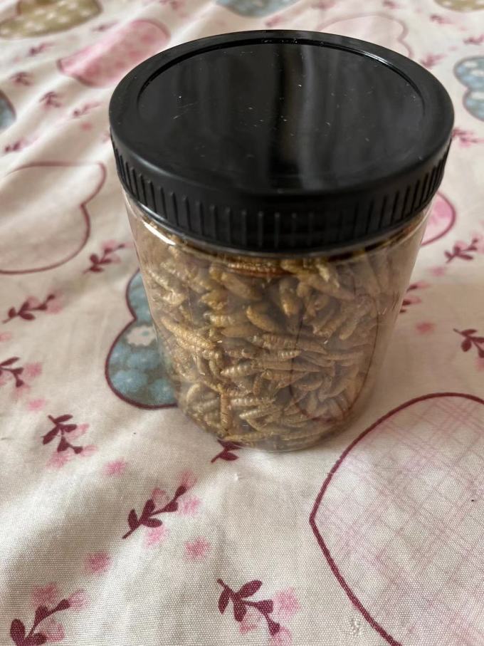 宠乐侠宠物肉质零食