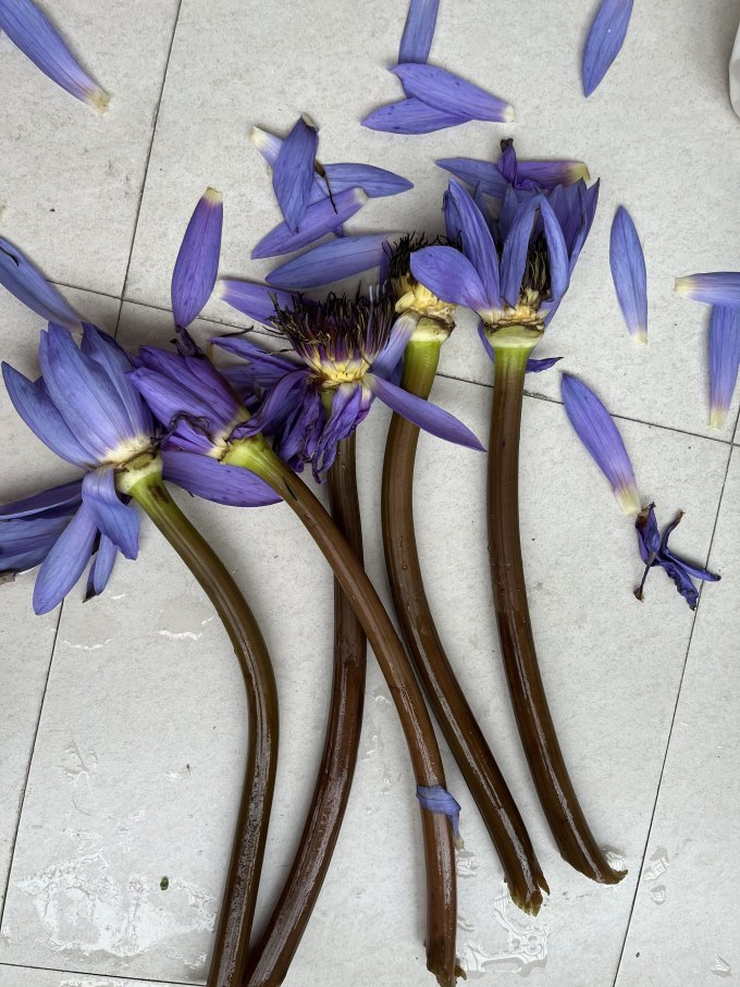花点时间鲜花