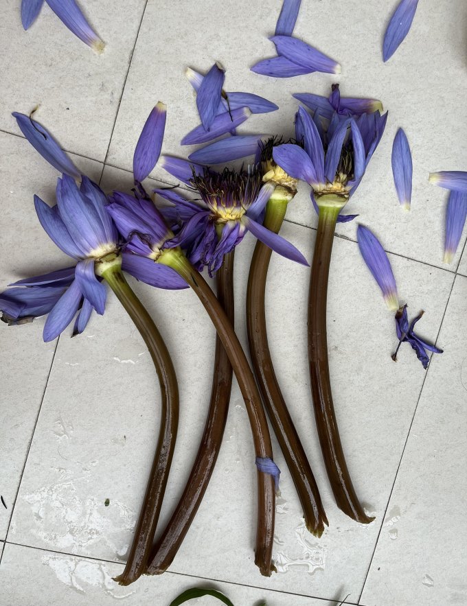 花点时间鲜花
