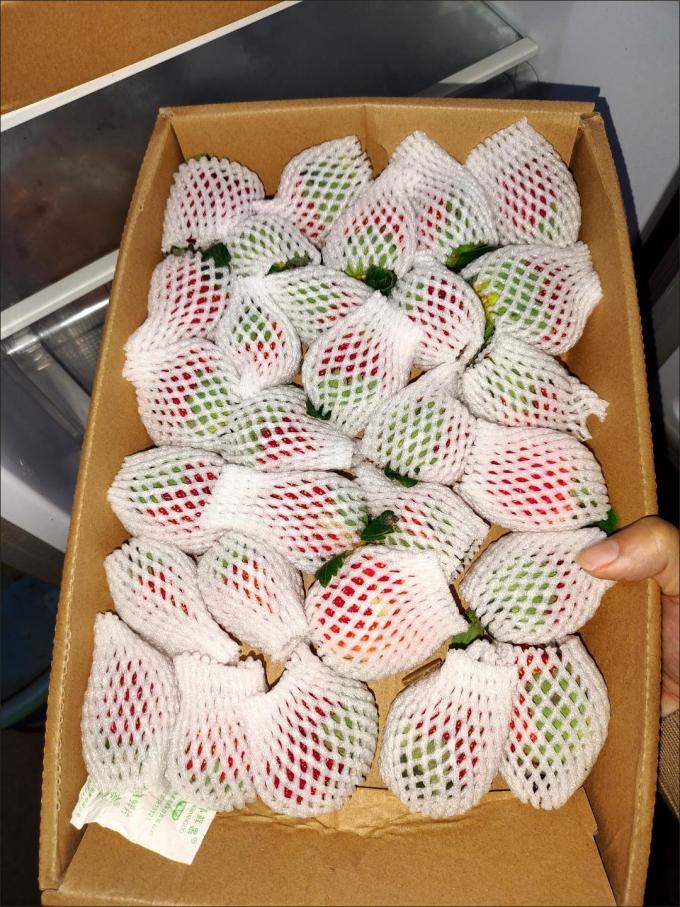 玖玖农场草莓