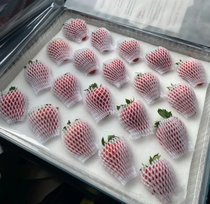牛小花草莓