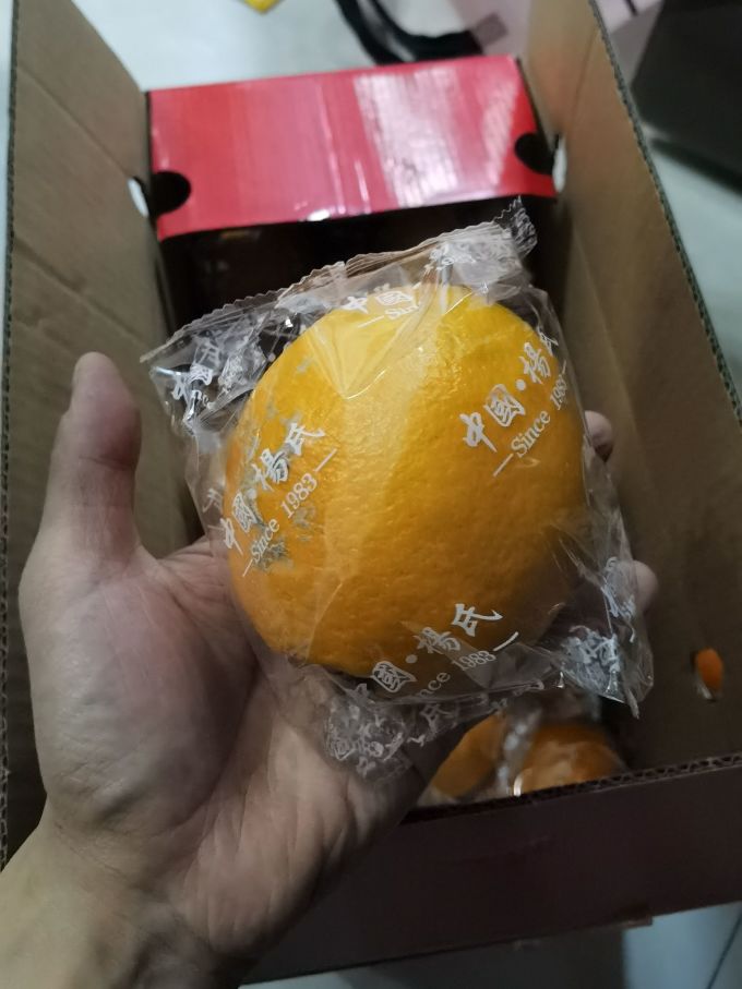 京鲜生橙子