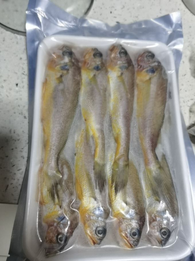 海名威鱼类