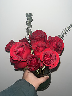 红色玫瑰花，我最爱的玫瑰颜色