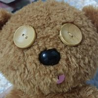 Tim熊真的是我今年的最爱了