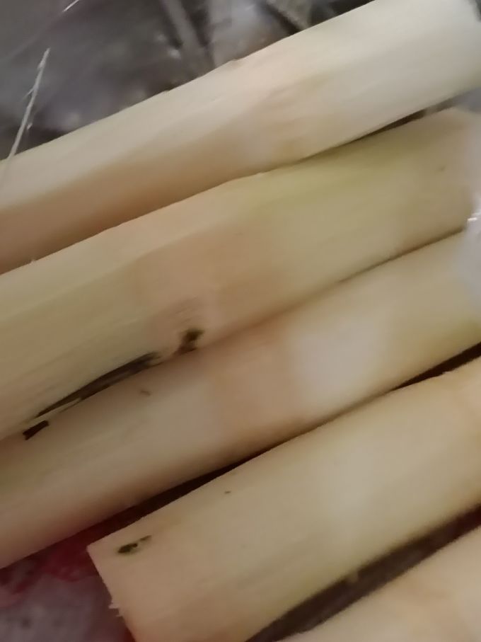 美香农场其他水果