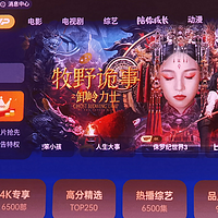 坚果投影 N1 Pro 靠什么打动消费者？