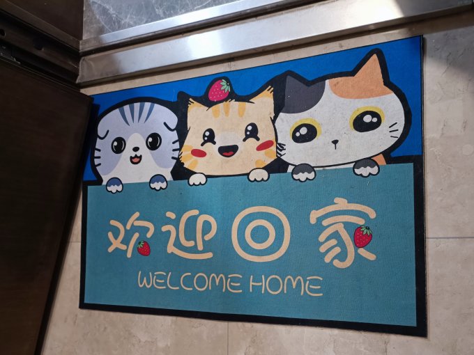 地垫