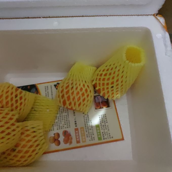 铂果橘/桔