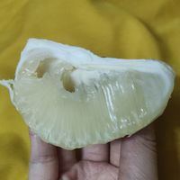 年货少不了的水果丨迷你柚子
