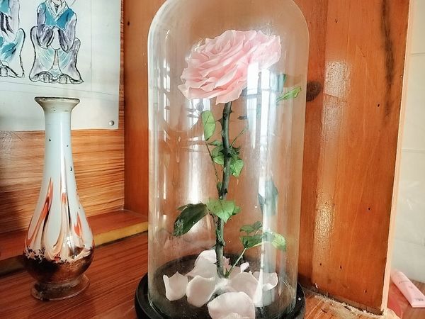 永生花(浪漫是可以永久保存的)