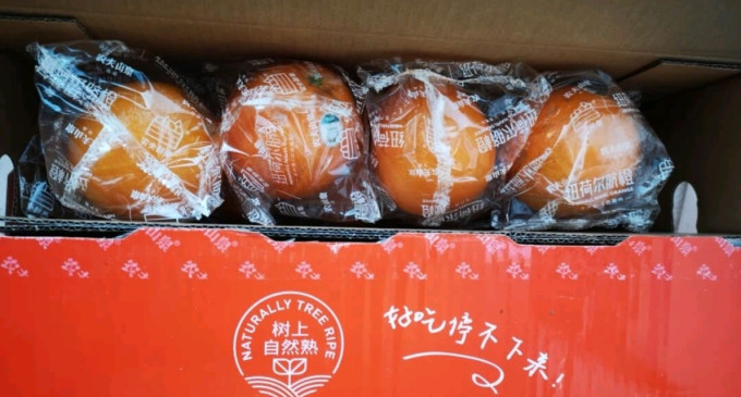 橙子