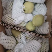 超好吃的小香梨