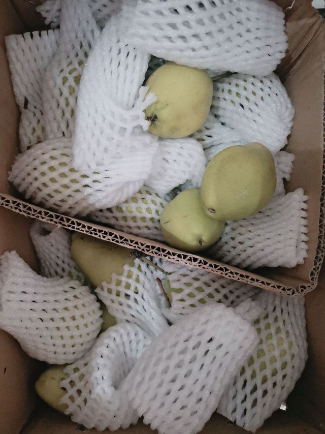 超好吃的小香梨
