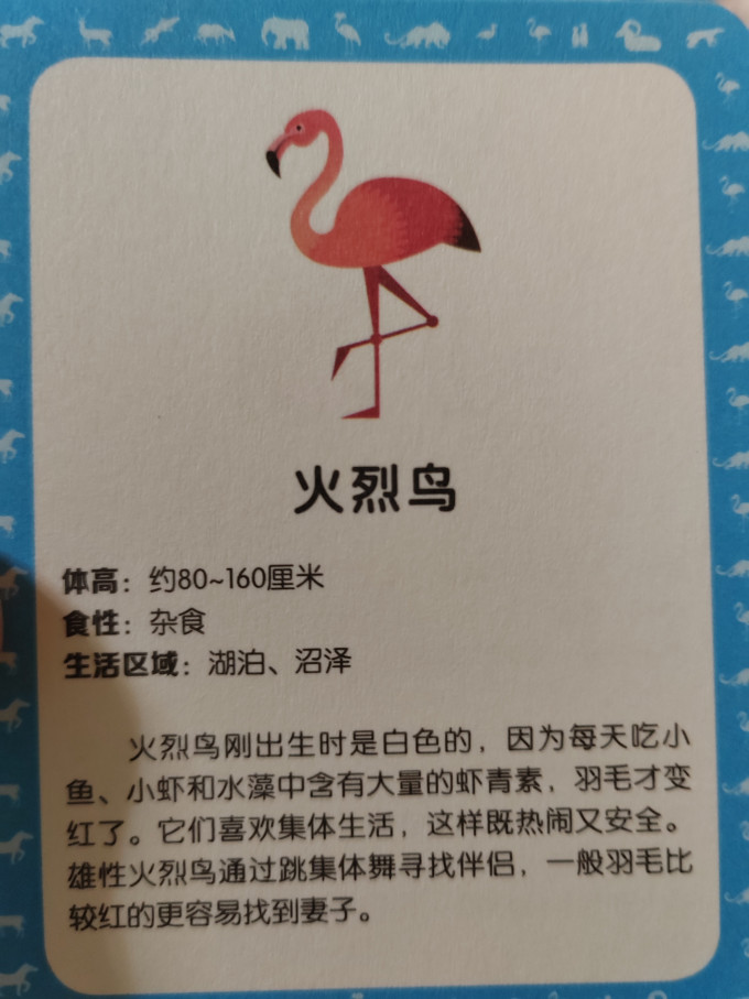 拼图