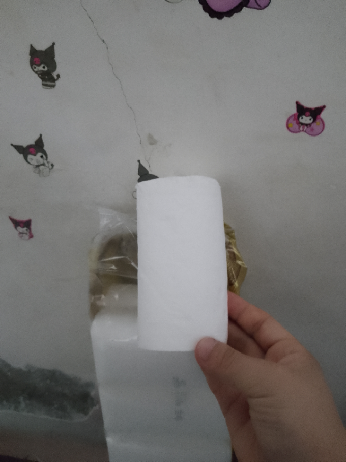 丽邦卷纸