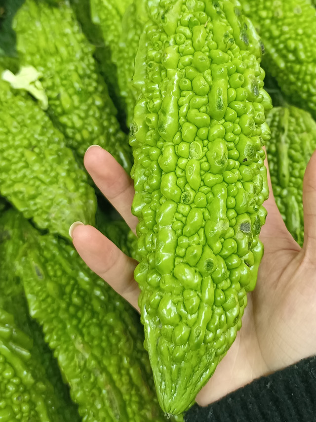 减肥吃这4种“苦”，让你瘦得更快