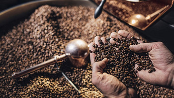 三十载咖啡佬 篇四：“新鲜烘焙”的话术——浅谈咖啡豆的取舍  附录：喝过的咖啡豆主观印象（上）