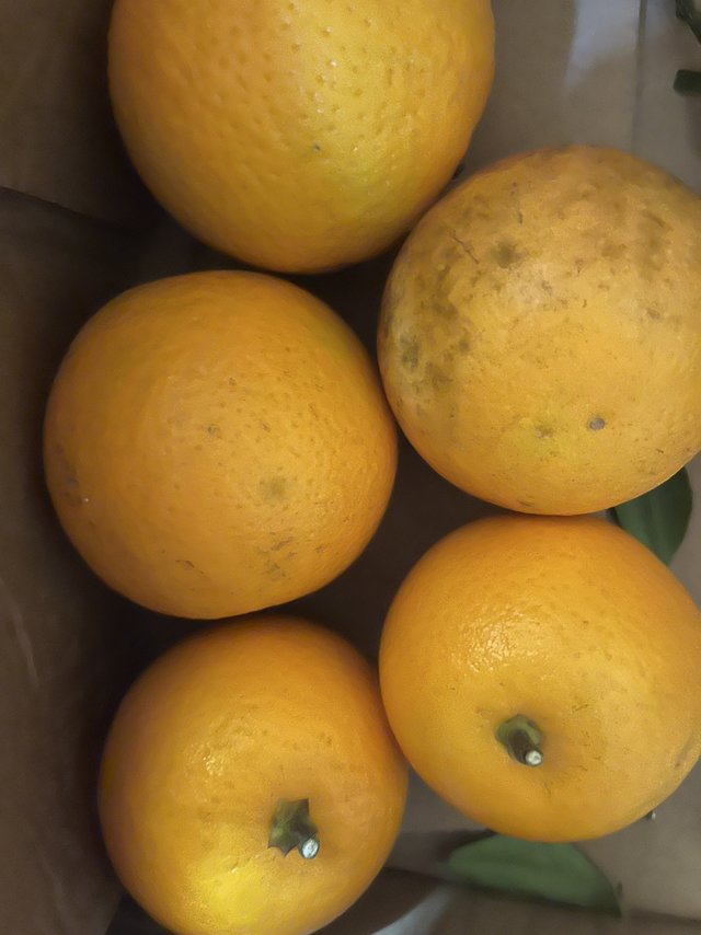 过节家里怎么能没有红江橙