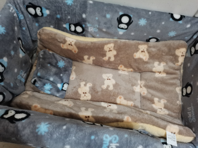 巴朗猫狗窝