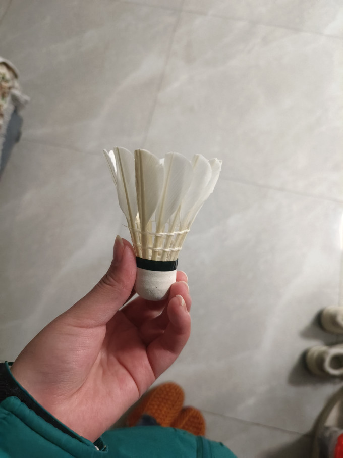 羽毛球