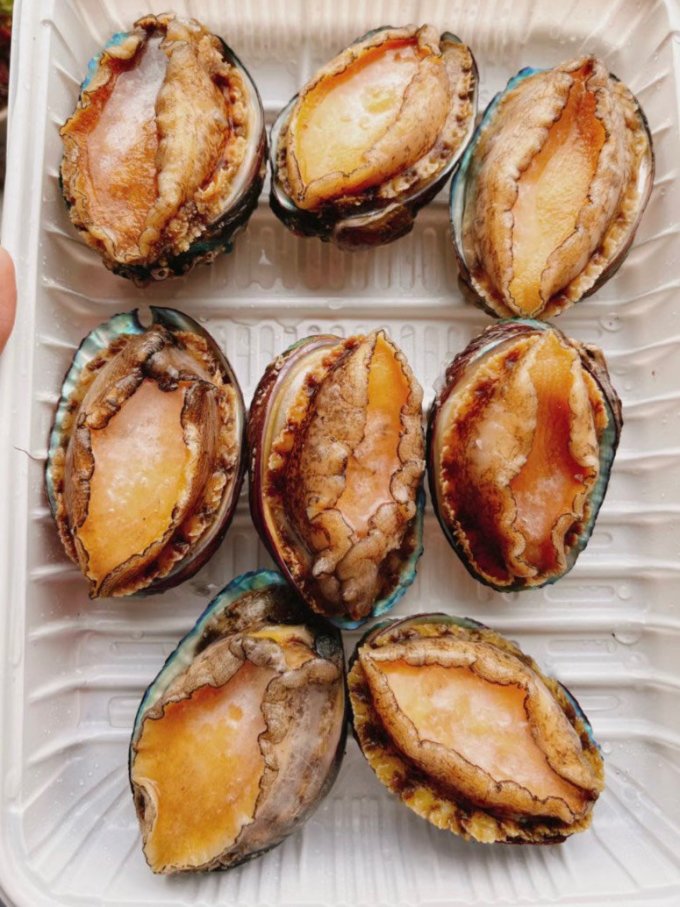纯色本味参鲍