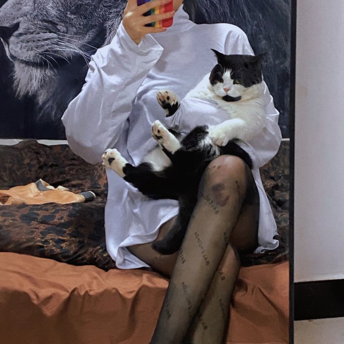 力狼猫犬通用零食