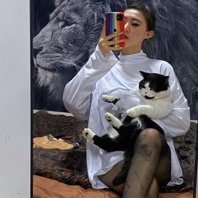 力狼猫犬通用零食