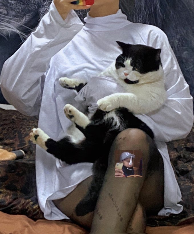 力狼猫犬通用零食