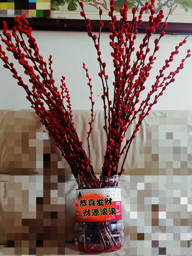 银柳寓意银两到家，摆起来今年发大财！