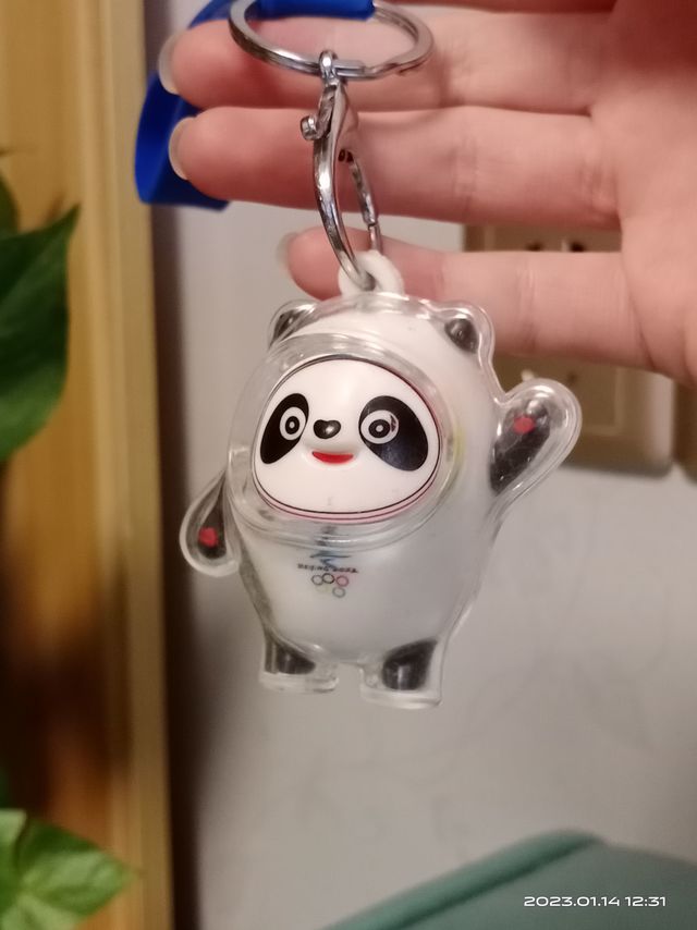 有没有谁喜欢冰墩墩的呀，举举手