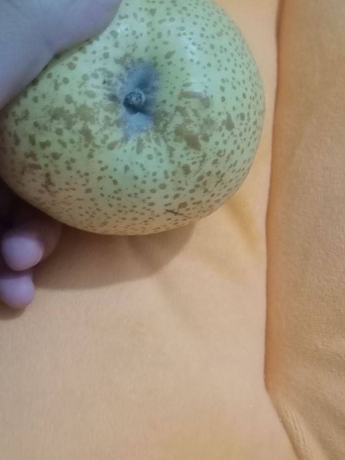 鑫民窑其他水果