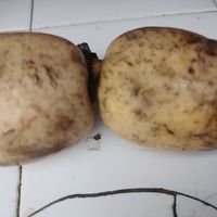即可以绵密又可以清脆