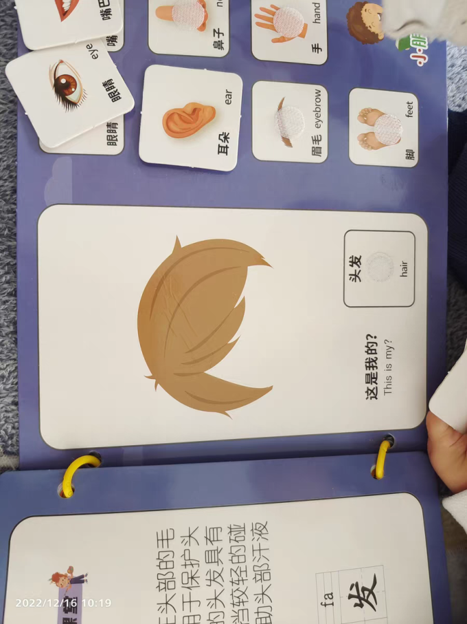 卡尔贝比早教启智