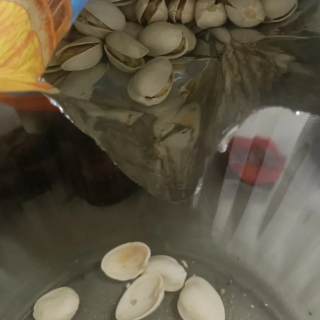 过年必囤零食开心果