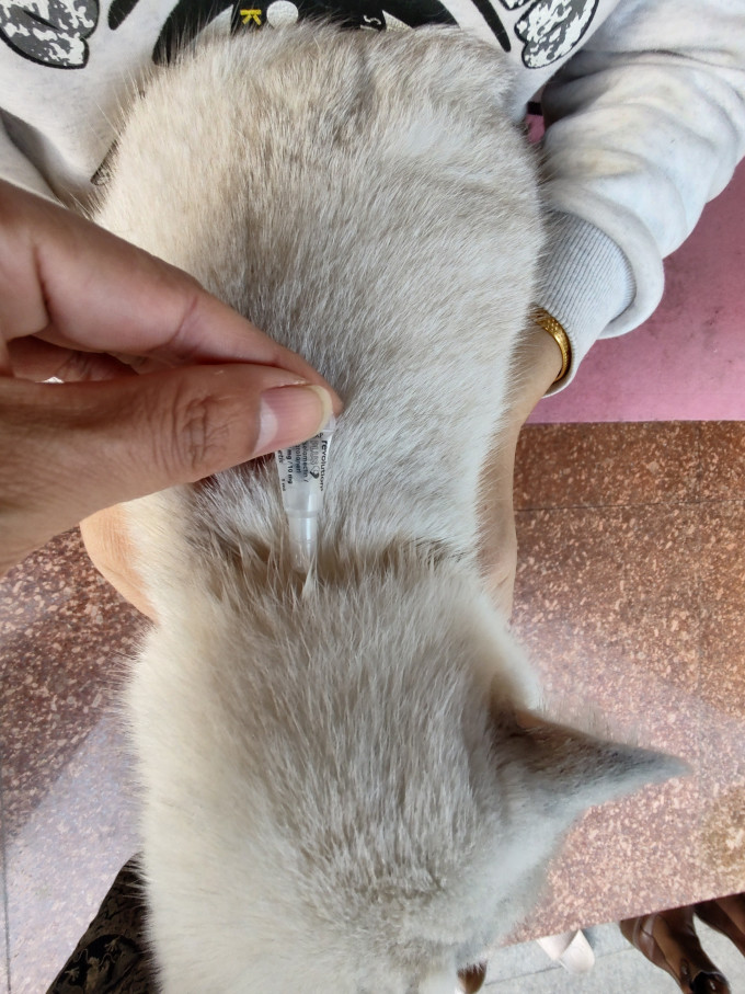妙宠爱宠物营养