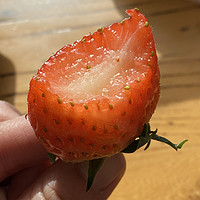 冬天一定要去买一盒草莓！不！是奶莓！