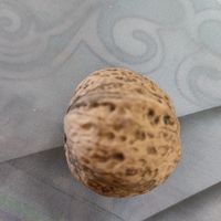 过年小零食好物推荐