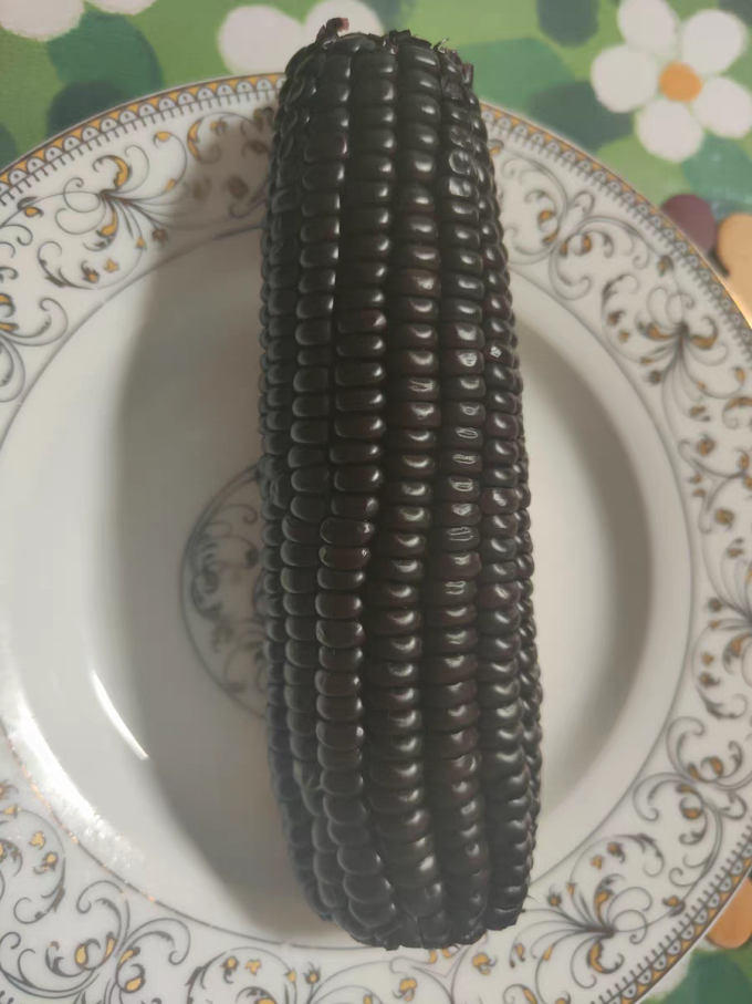 谷田记其他方便食品