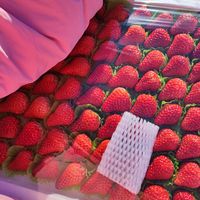 这个草莓真的深得我心啊