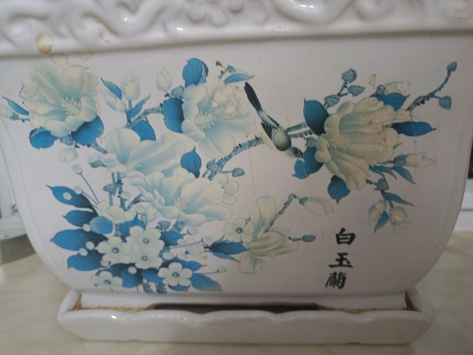 裕轩堂花瓶花器