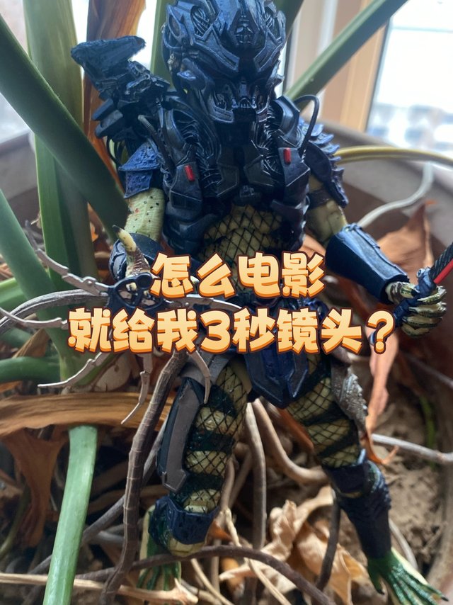 电影里就给我3秒的镜头？
