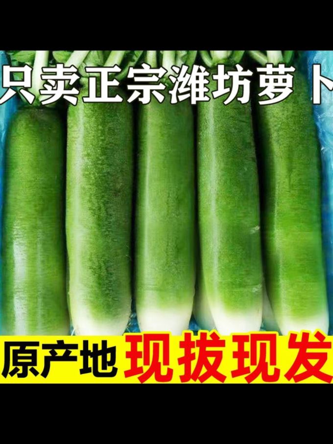 蔬菜