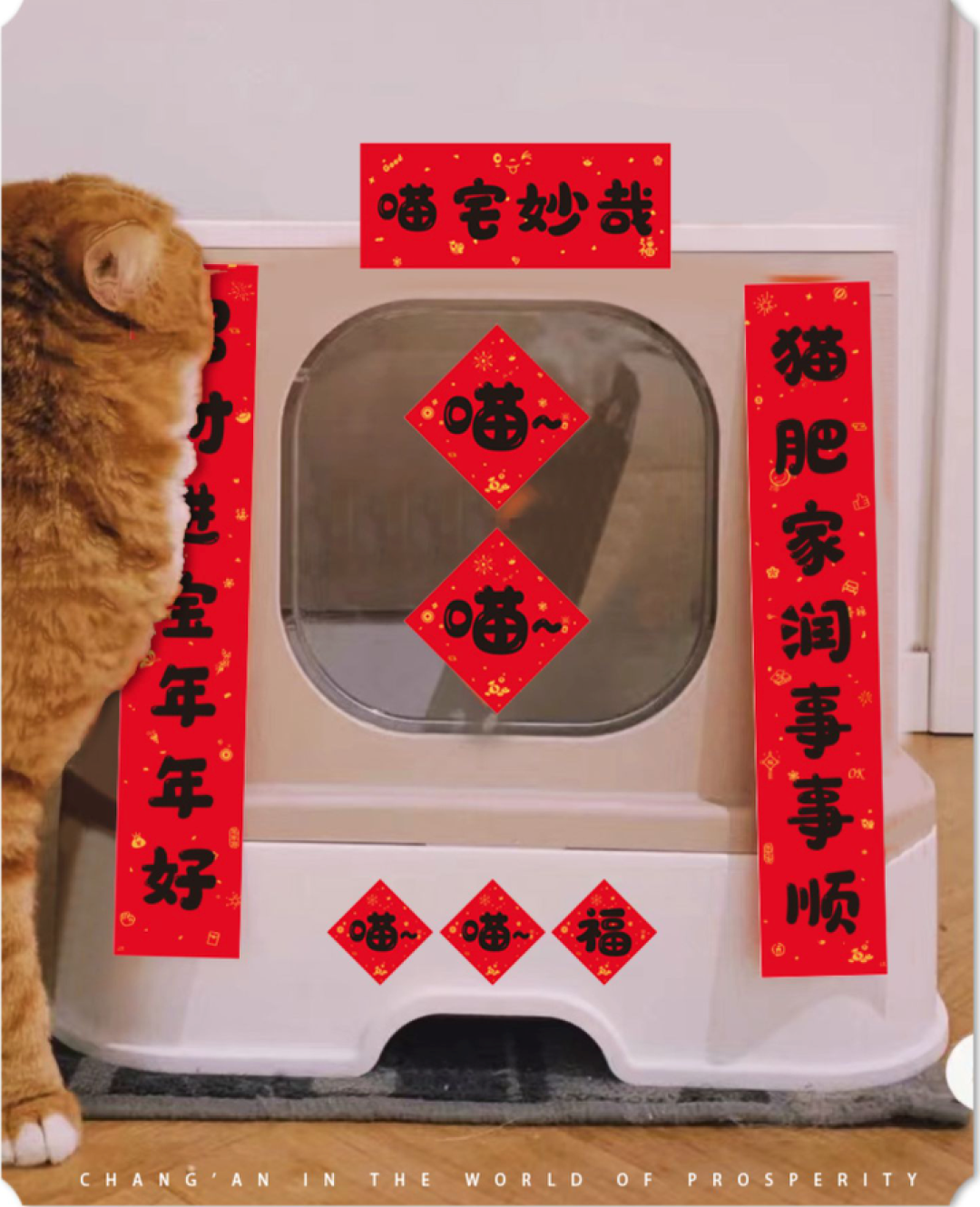 今年的春节你打算怎么过？回家团聚or就地过年，不管怎样营造浓浓的年味才是关键！