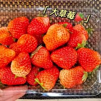 备年货一定不要忘记丹东草莓🍓呀