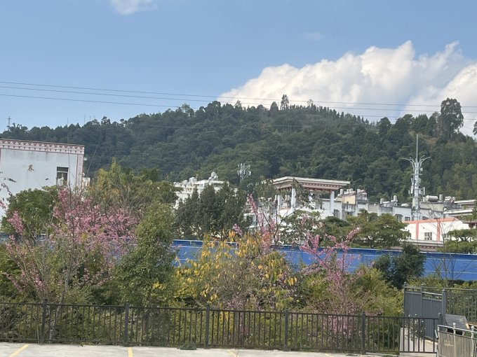 国内度假