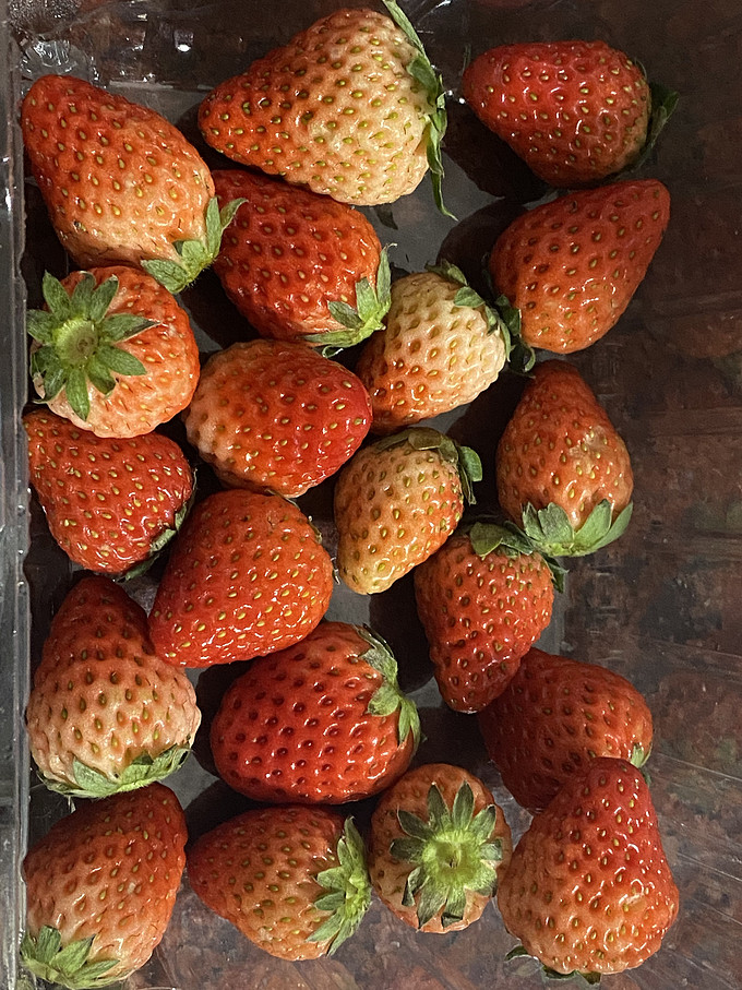 京觅草莓