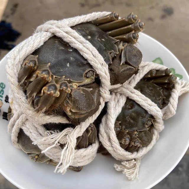 没翻车 买的比手掌都大