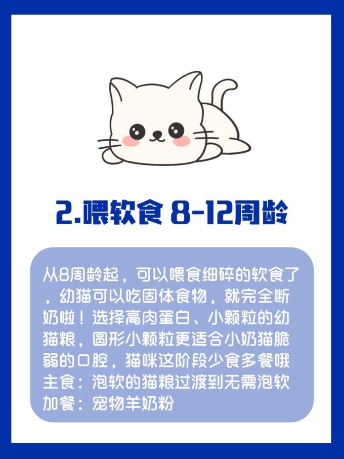 猫粮
