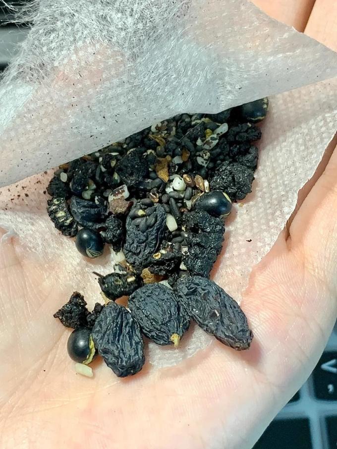 茶道吉日茶类